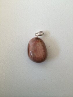 Gezondheidshanger Versteend Hout