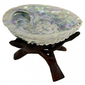 Abalone schelp Haliotis Midea  voor smudging met  driepoot