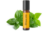 Focus roller 10 ml