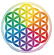 Raamsticker Flower of Life Rainbow - Levensbloem Regenboog