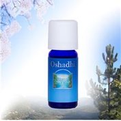 Lavendel Haute Provence - Oshadhi Etherische Olie